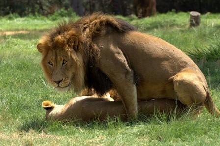 seducción científica